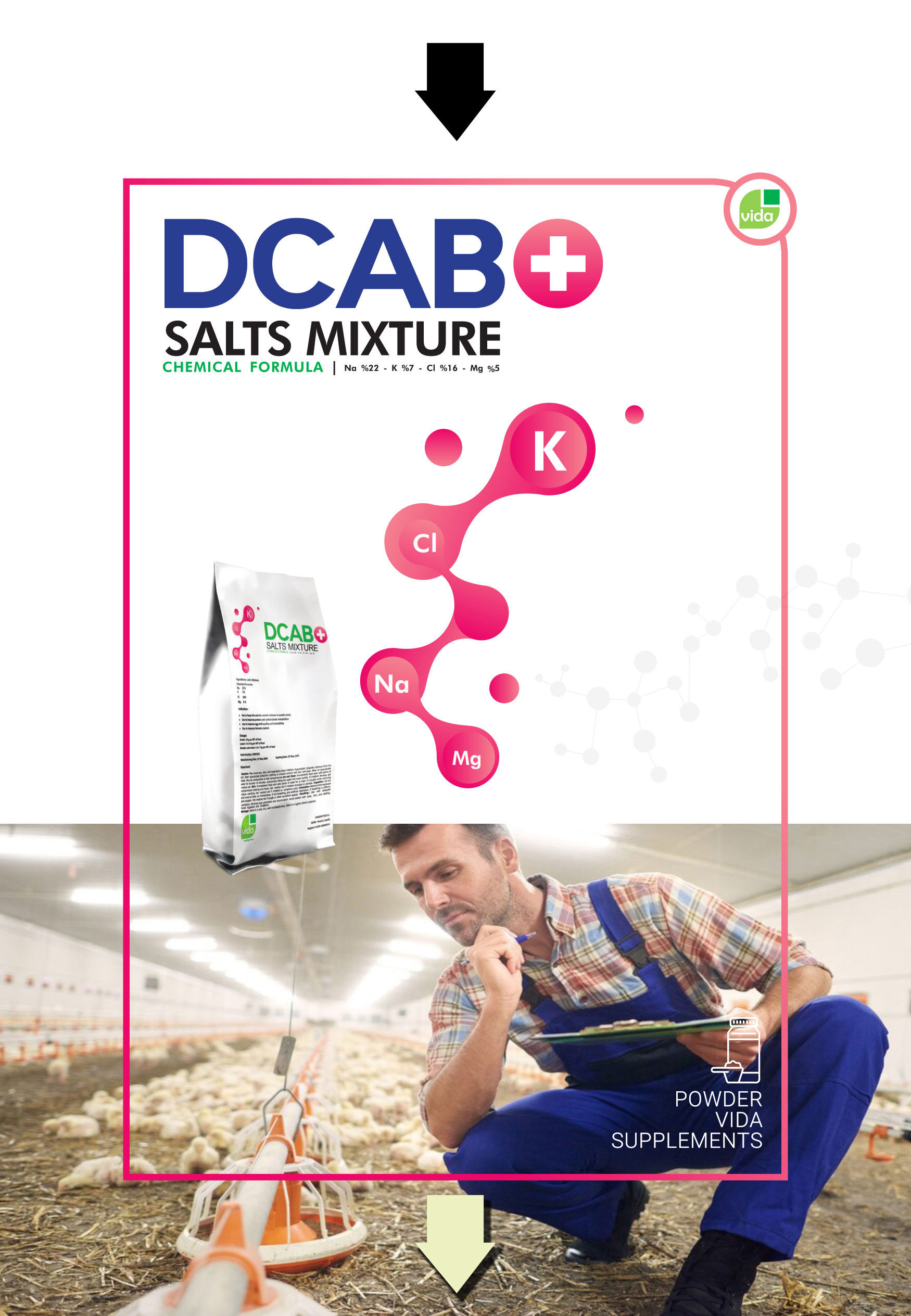 DCAB