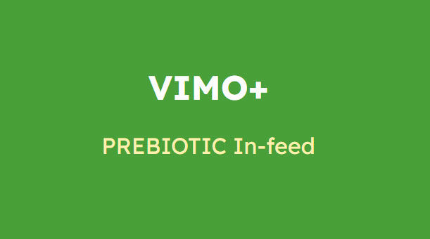 Vimo plus